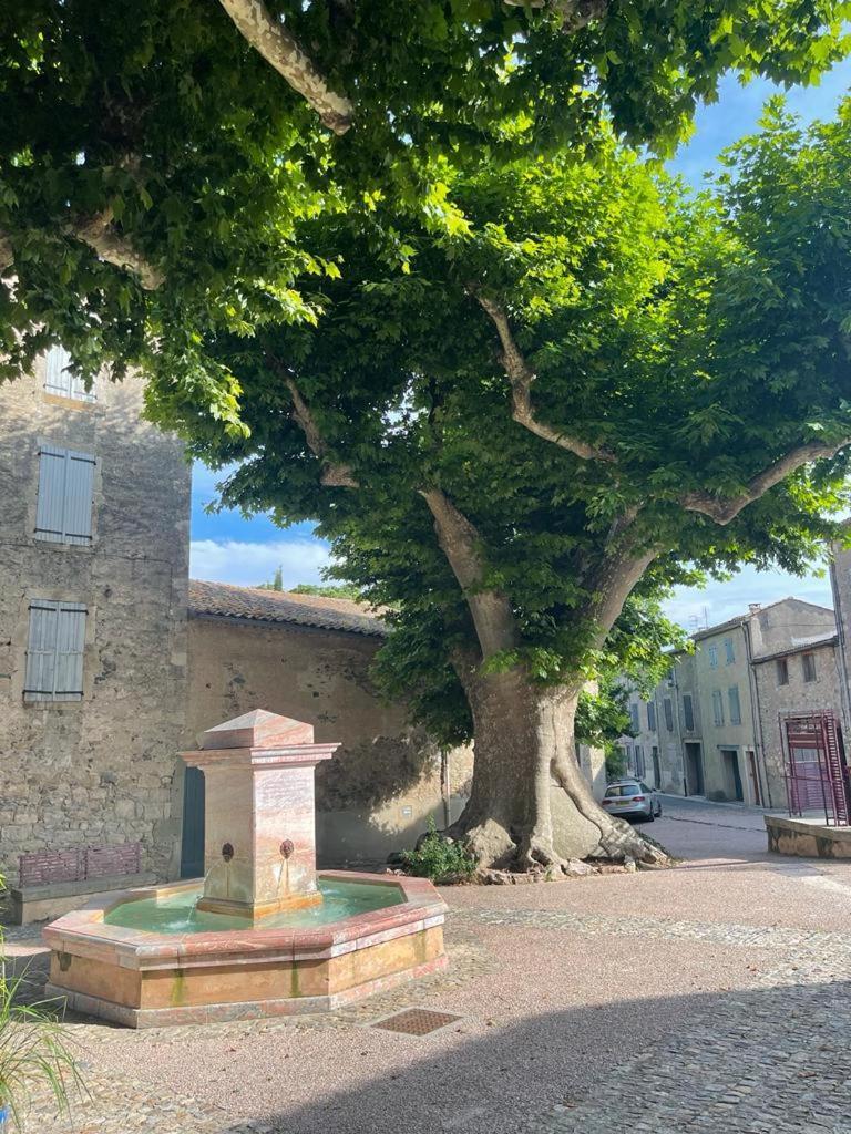 Au Perchoir Apartment Caunes-Minervois Luaran gambar